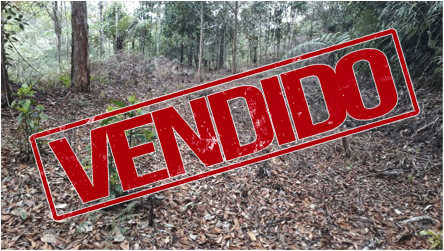 Hermoso lote en vereneadero de Dapa, a solo una hora y cuarto de Cali