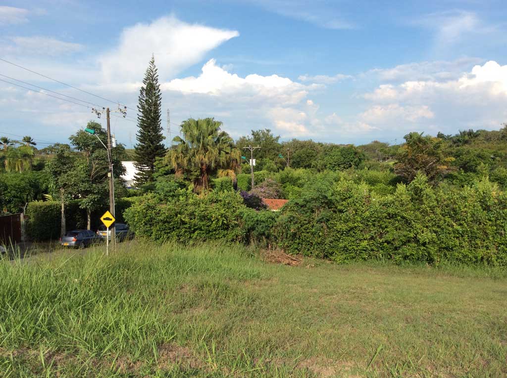 Vista del lote hacia la Carrera 116